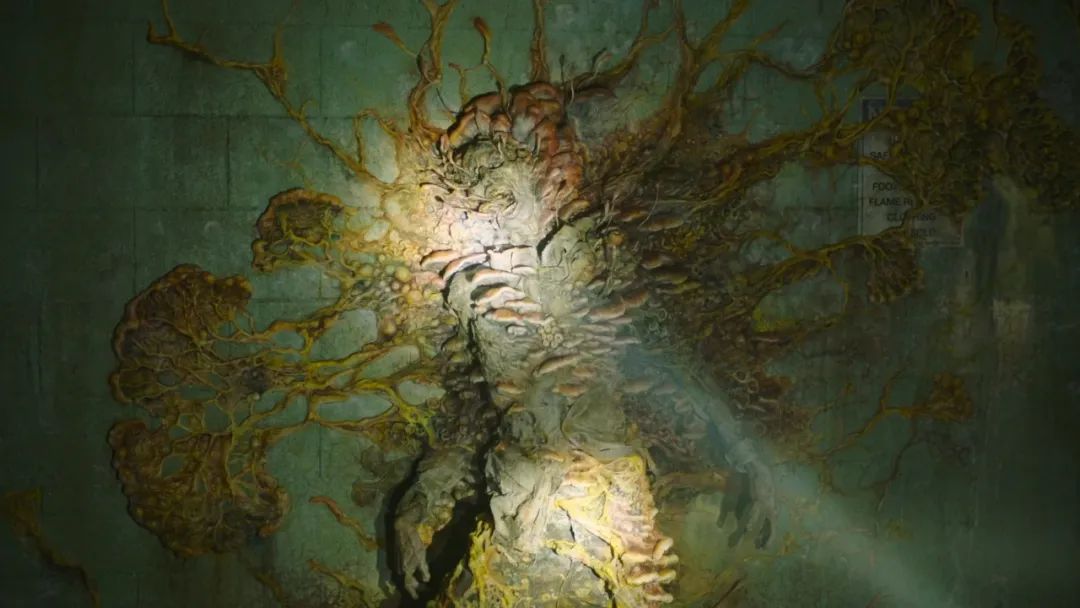 最后的生还者2谁死了_最后生还者第二季口碑分析_HBO最后生还者第二季评分